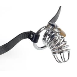 Fetish Fantasy Extreme Chastity Belt, image 1