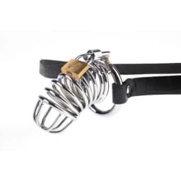 Fetish Fantasy Extreme Chastity Belt, image 2