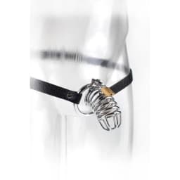 Fetish Fantasy Extreme Chastity Belt, image 5