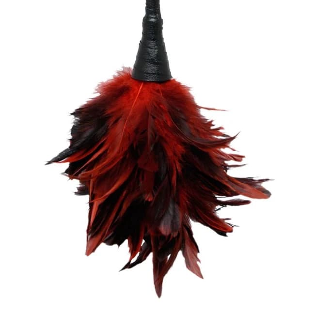FETISH FANTASY FRISKY FEATHER DUSTER RED  - Image 1