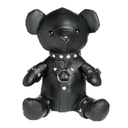 Gimp Bear, image 3