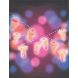 Glitterati Penis String Lights, image 3
