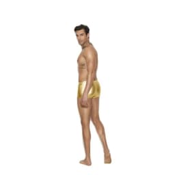 Gold Lame Boxer Brief, image 5