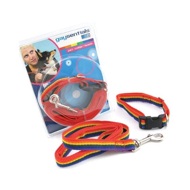 Gs Pet Combo Leash/collar (medium) - Image 1