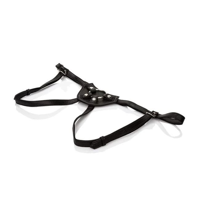 Her Royal Harness Countess (boxed) - Image 1