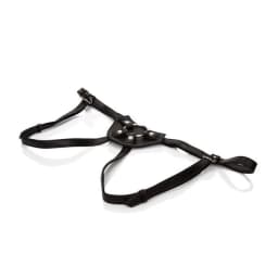Her Royal Harness Countess, image 1