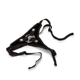 Her Royal Harness, image 1