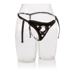 Her Royal Harness, image 2