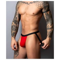 Hot Mesh Jock, image 3