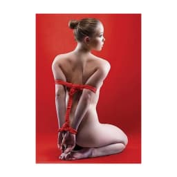 Japanese Rope - 10m - Red, image 3