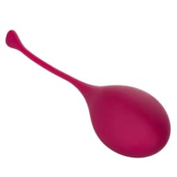 Kegel Training 5 Pc Set - Image 3
