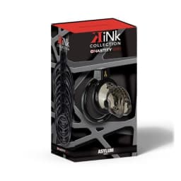 Kink Chastity Asylum Cock Cage, image 2
