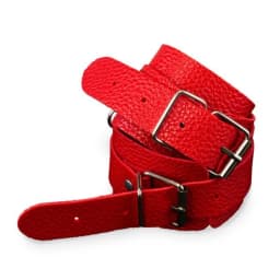 Kink Curious Hogtie Kit, image 3