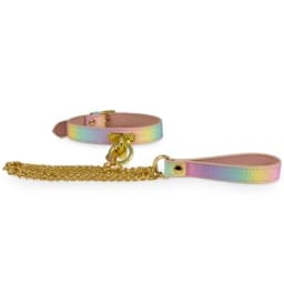 Kink Dreamland Leash & Collar - Image 1