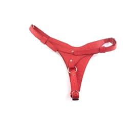 Leather Female Dildo Harness - Red, image 2
