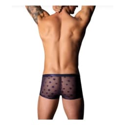 Love Star Short W/ Ring, image 3