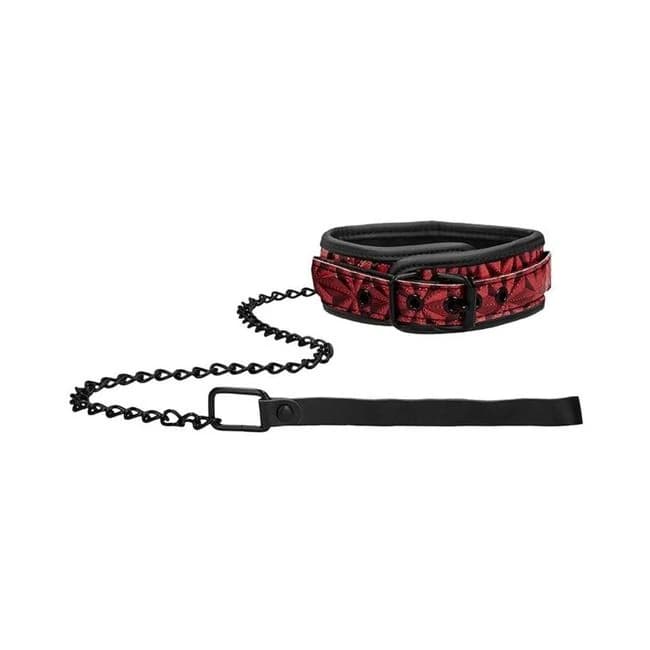 Luxury Collar with Leash - Image 1
