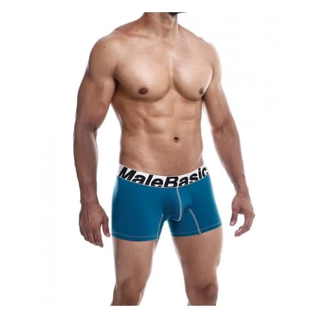 Male Basics Performance Boxer Emerald Md - Image 1