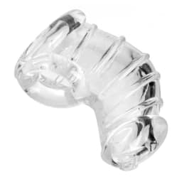 Master Series Detained Chastity Cage, image 3