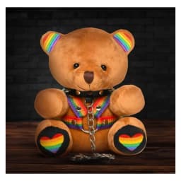 Master Series Pride Bear, image 1