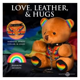 Master Series Pride Bear, image 4