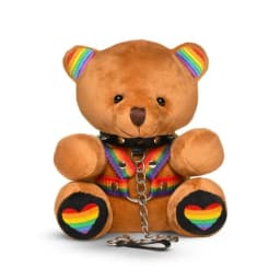 Master Series Pride Bear, image 7