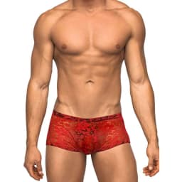 Mini Short Stretch Lace, image 13
