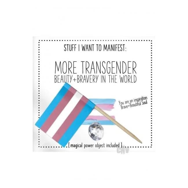 More Transgender Beauty - Image 1