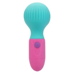 Naughty Bits to Te Max Vibrating Wand, image 3