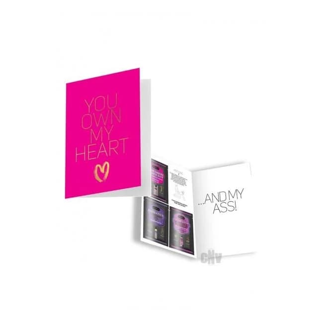 Naughty Notes Greeting Card You Own My - Image 1