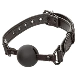 Nocturnal Ballgag, image 2