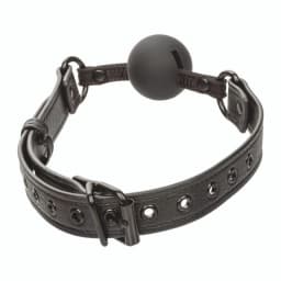 Nocturnal Ballgag, image 5