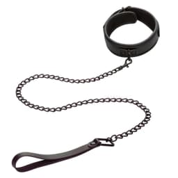 Nocturnal Collar & Leash, image 2