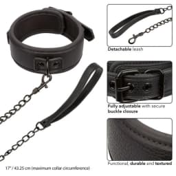 Nocturnal Collar & Leash, image 3