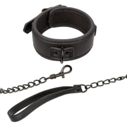 Nocturnal Collar & Leash, image 4