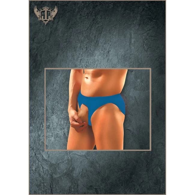 Nylon Spandex Pouchless Brief Royal One Size - Image 1