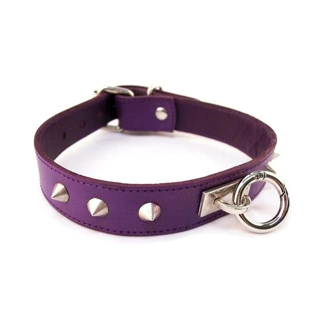 O-ring Studded Thin Collar - Purple - Image 1