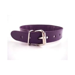 O-Ring Studded Thin Collar - Purple, image 2