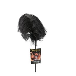 Ostrich Feather, image 5