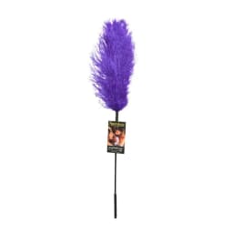 Ostrich Feather, image 2
