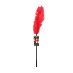 Ostrich Feather, image 3