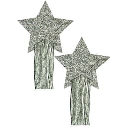 Pastease Star Tassel Silver, image 1