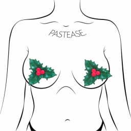 Pastease Xmas Winter Holly W/ Red Berries, image 2