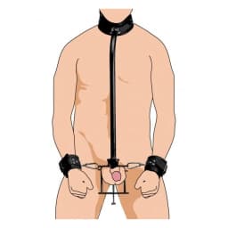 Penis Pillory, image 1