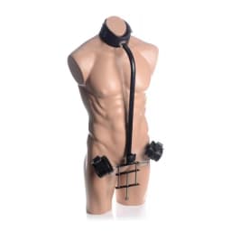 Penis Pillory, image 2