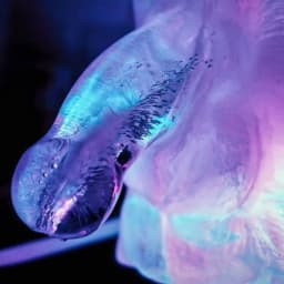 Play Wiv Me Huge Penis Ice Luge, image 2