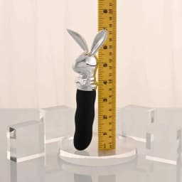 Playboy Bunny on the Go, image 3