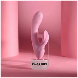 Playboy Rabbit Party, image 1