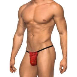 Posing Strap Stretch Lace, image 2