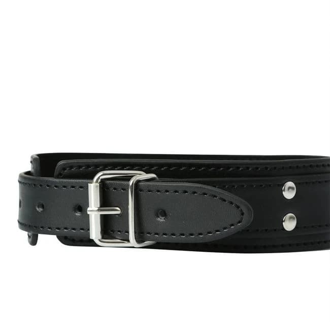 Premium Collar W/ Nipple Clamp - Image 4